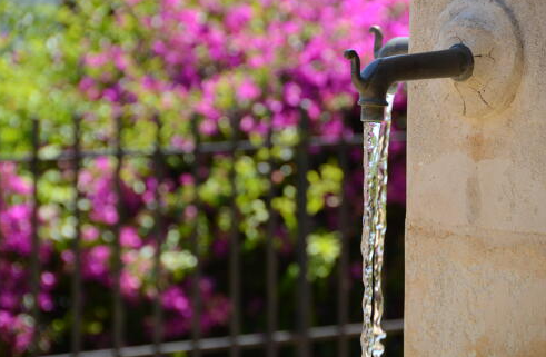 Visite guidée Au fil de l'eau_Bormes-les-Mimosas