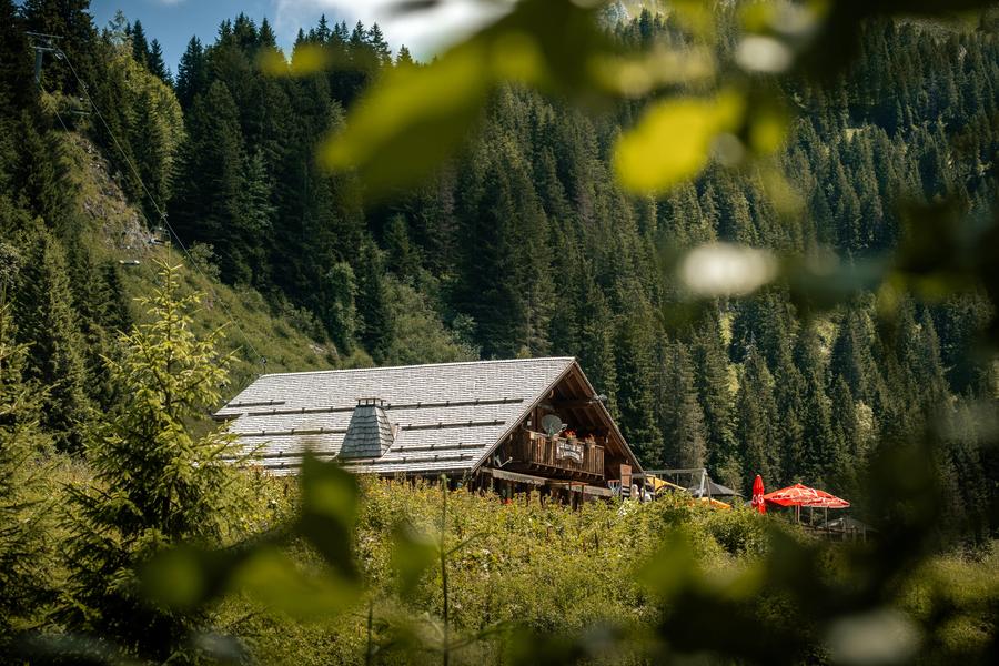 Sentier pédestre : des Lindarets à la Cascade des Brochaux_Montriond