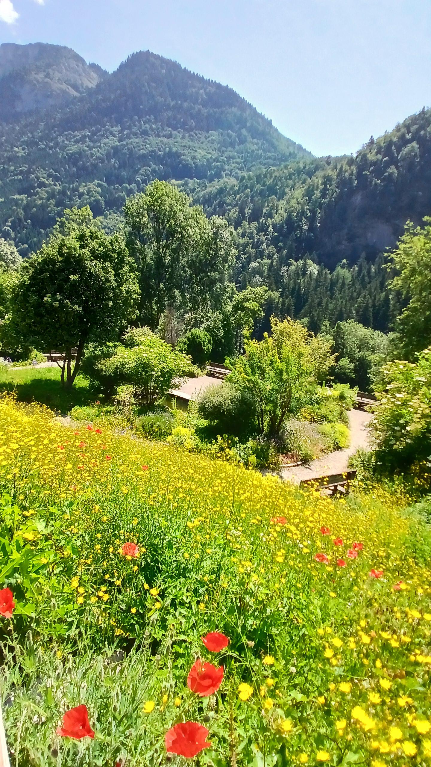 Jardin Alpin