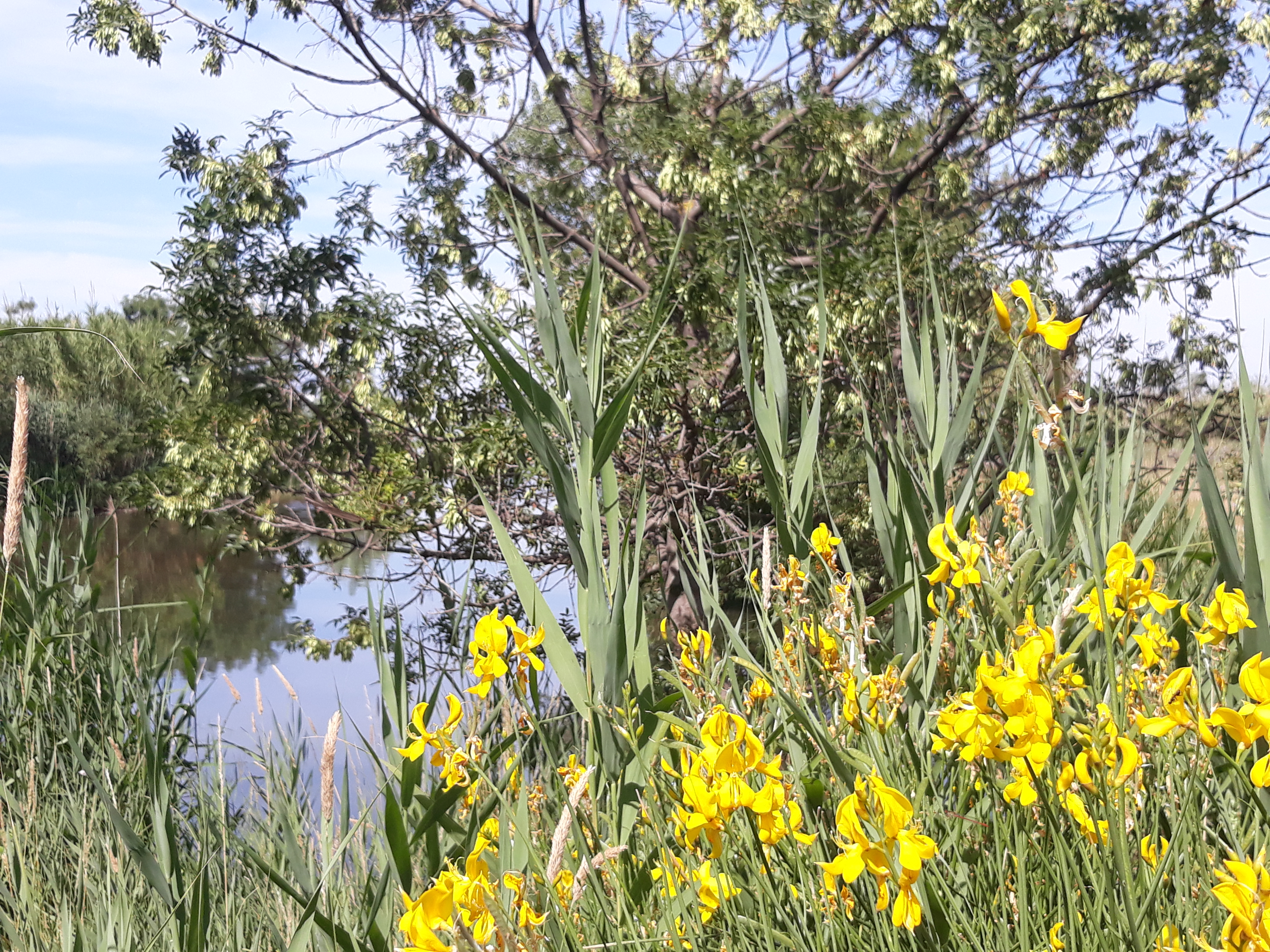 Randonnée commentée : Village de pêcheurs, pavillon de chasse et observatoire du milieu naturel