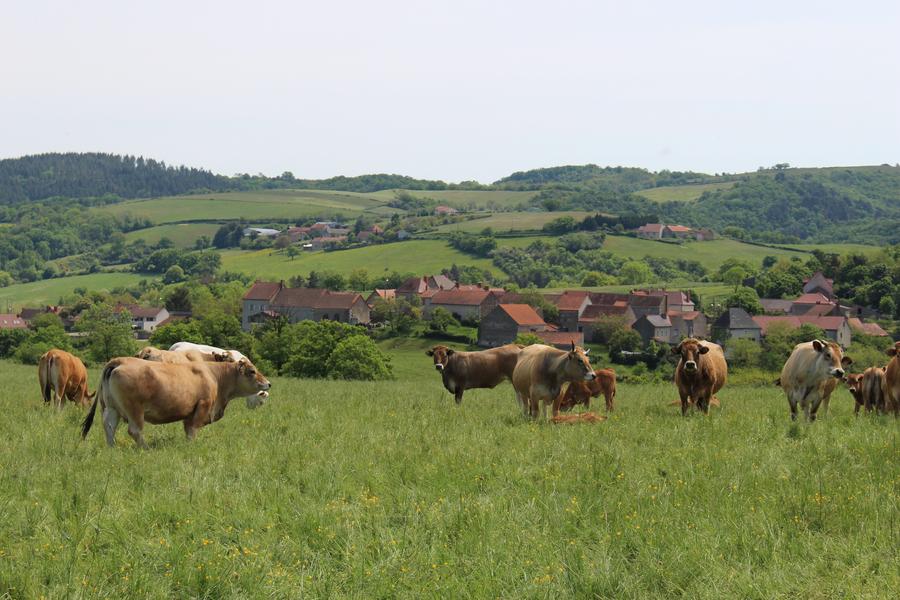 La source de Charponne