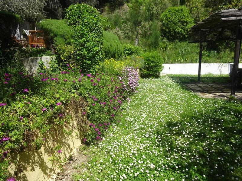 Gîte Le Dionel-Espaces extérieurs-Colomars-Gîtes de France des Alpes-Maritimes