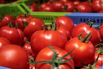 Tomates