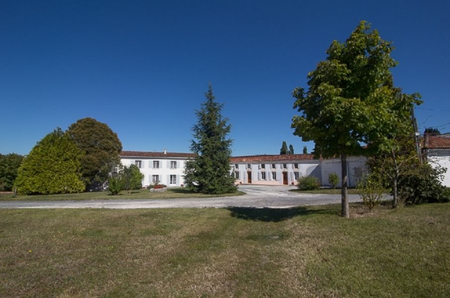 Domaine Fradon - Pineau Cognac et Jus de Raisin