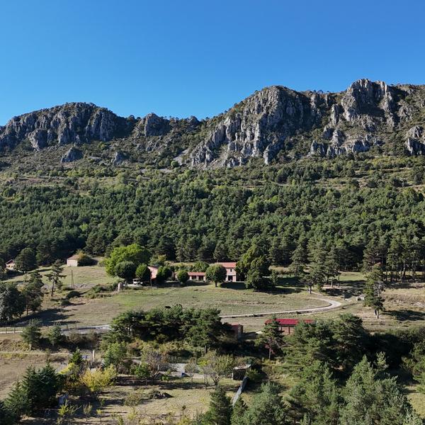 DJI_20240906173758_0008_D-1x1