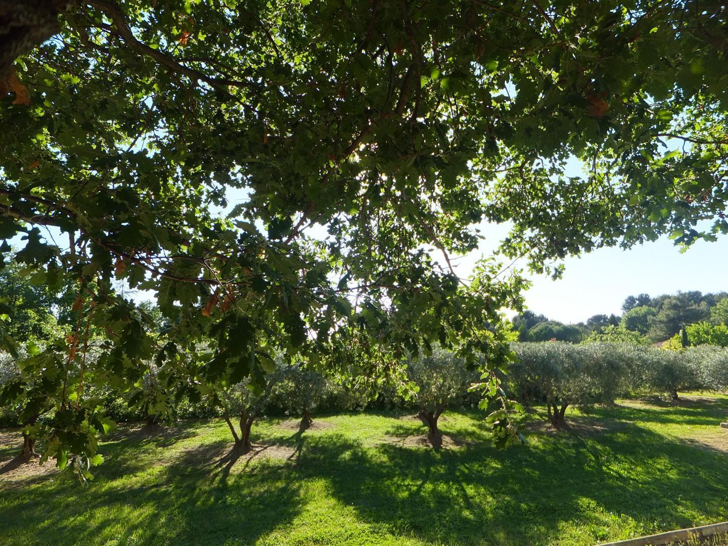 Le Clos Des Oliviers et la Tour, Saint-Cannat - photo 9
