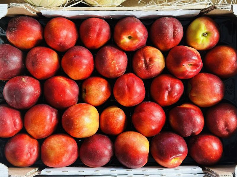 Archi'Frais - producteur - Saint-Chef - Balcons du Dauphiné