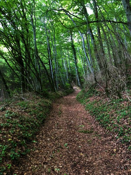 GTJ VTT de Mandeure à Culoz via La Praille