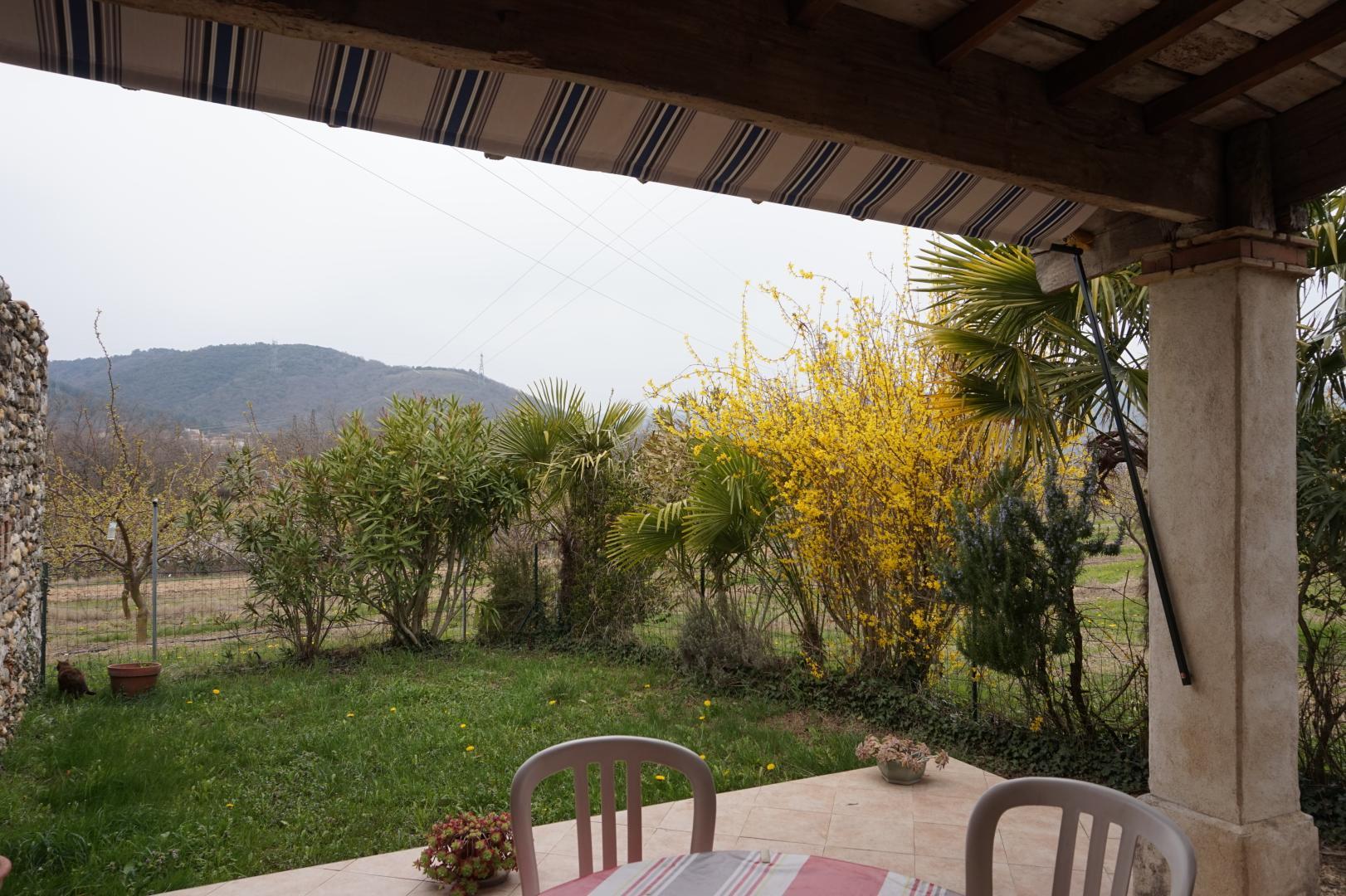 Dès février le forsythia enchante nos repas en terrasse