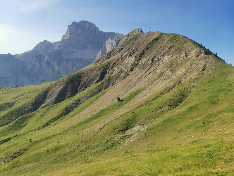 Alpage de Bachilianne