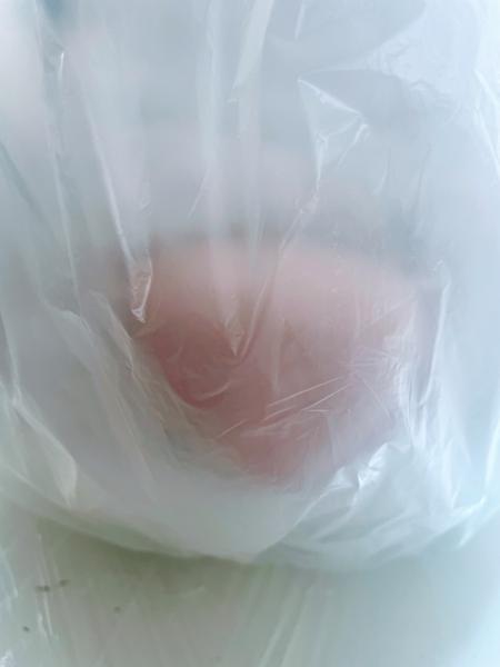 Emilie Pitoiset, So Much Tenderness, mascotte sur-mesure, 2025. Courtesy of the artist & Klemm’s, Berlin. 