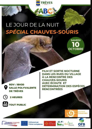 Jour de la nuit_Trèves