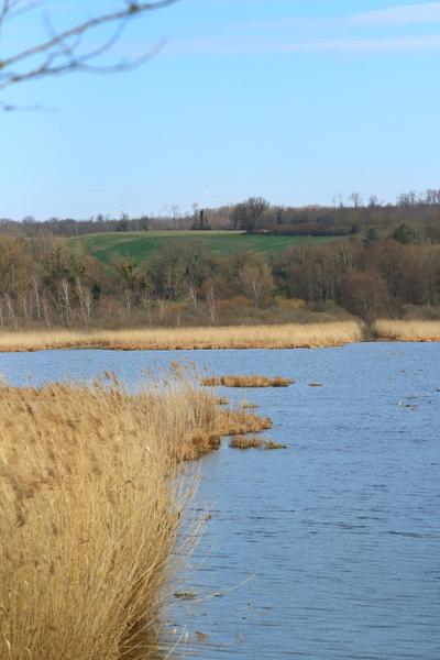 Étang de Salette_Courtenay