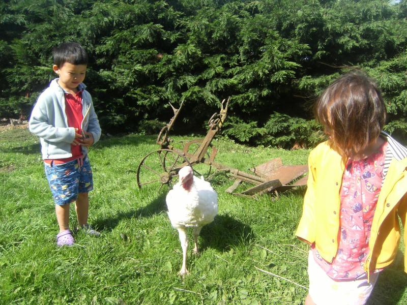 Gîte à la Ferme \