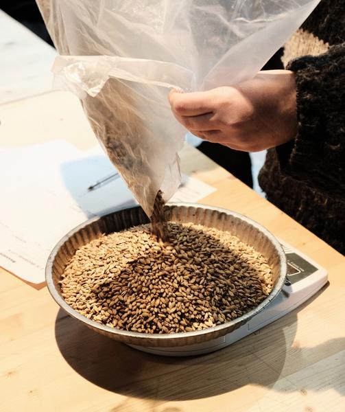 FABpéro partage de graines au REZO