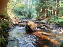 rivière de Chandieu