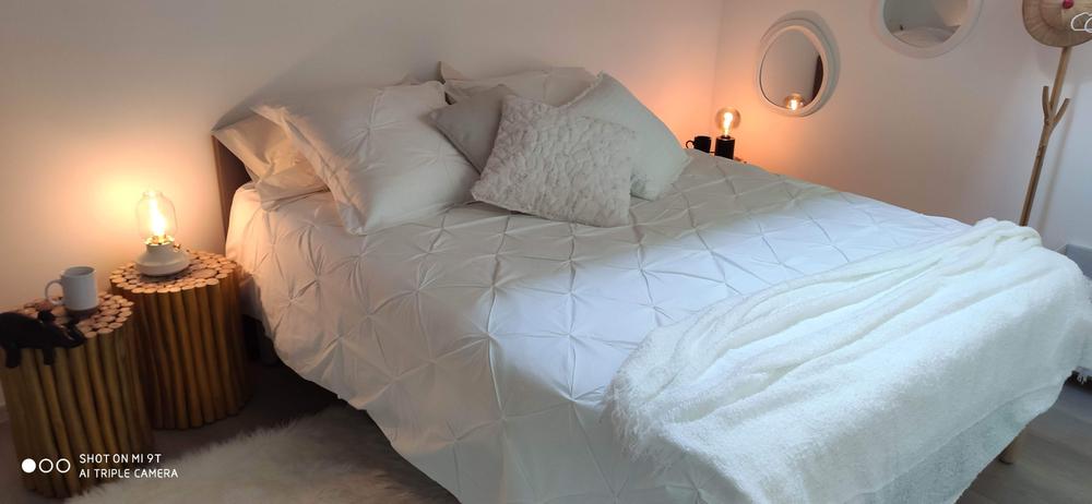 Gite*** Bumble Bee à Panossas - Balcons du Dauphiné - Isère