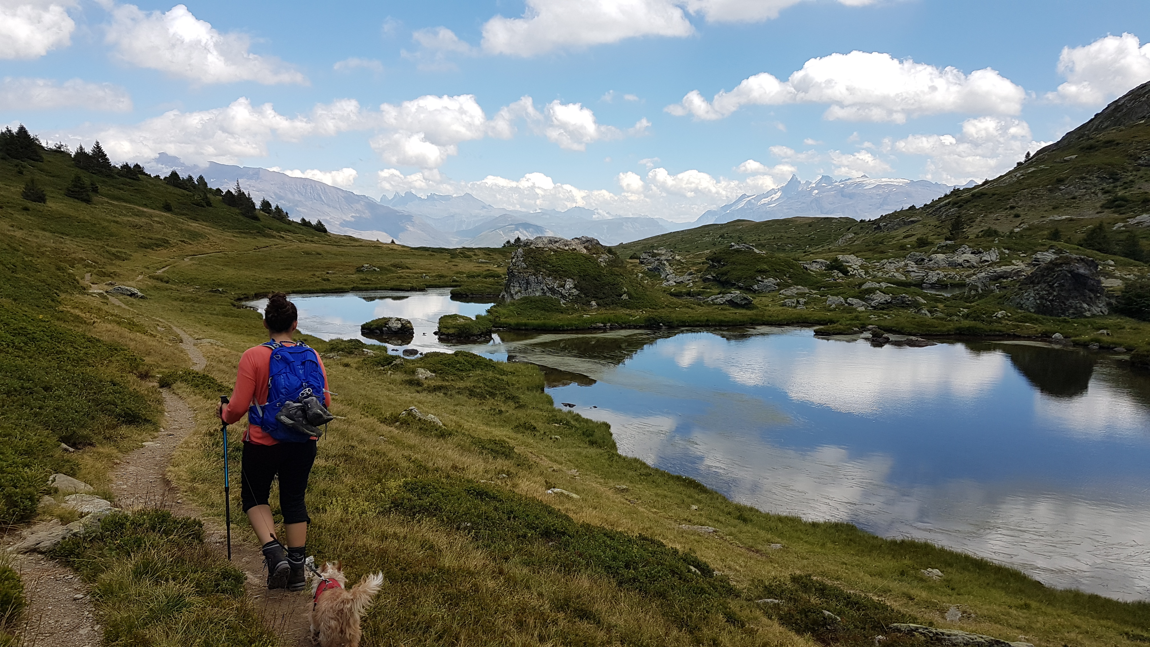 photosFeed-https://static.apidae-tourisme.com/filestore/objets-touristiques/images/189/240/34140349.jpg