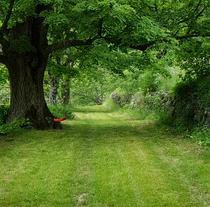 L'allée des tilleuls, votre jardin