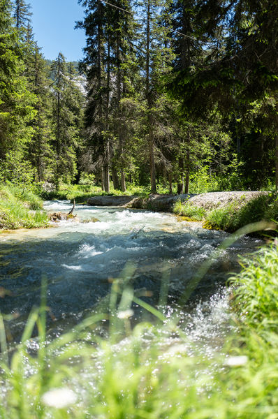 Torrent de la Rosière