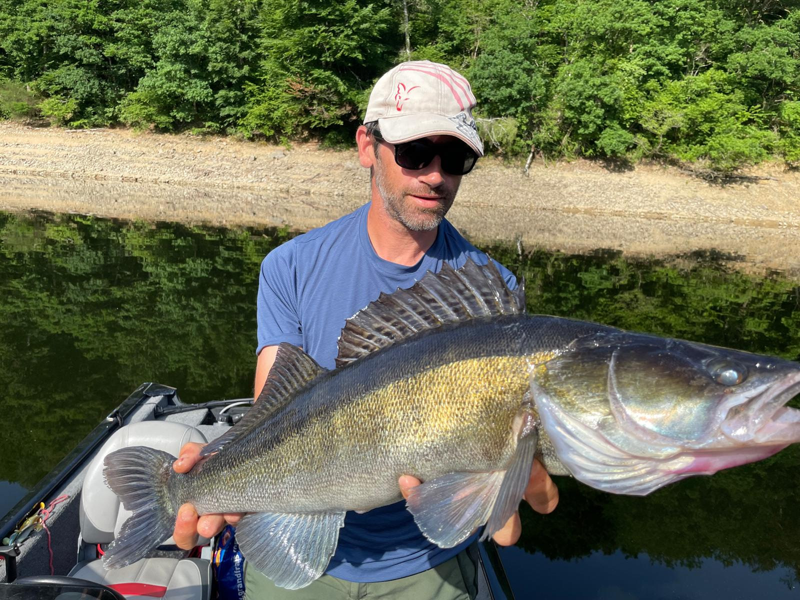 joli sandre pris en sharpshotting