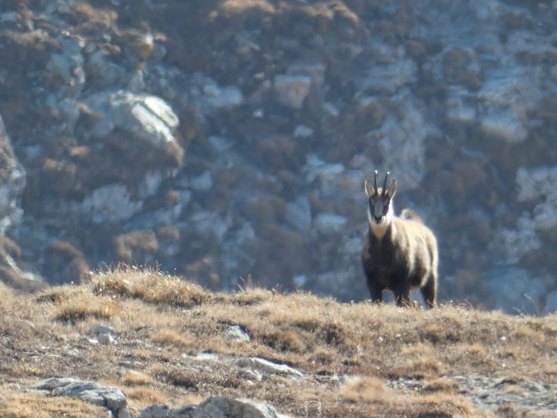 Les rando du Lavvu à La Norma
