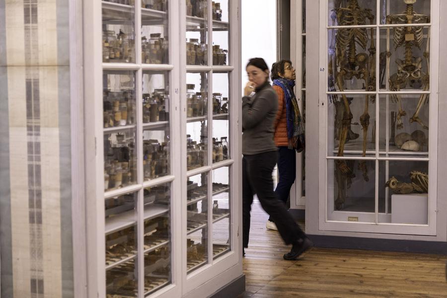Visite des collections