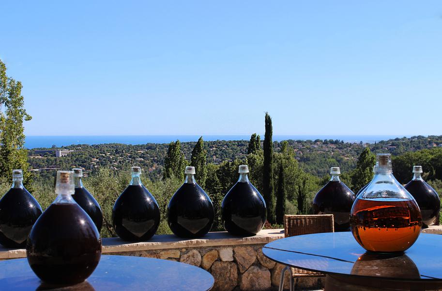  Déguster nos vins en regardant les vignes et la mer au loin.