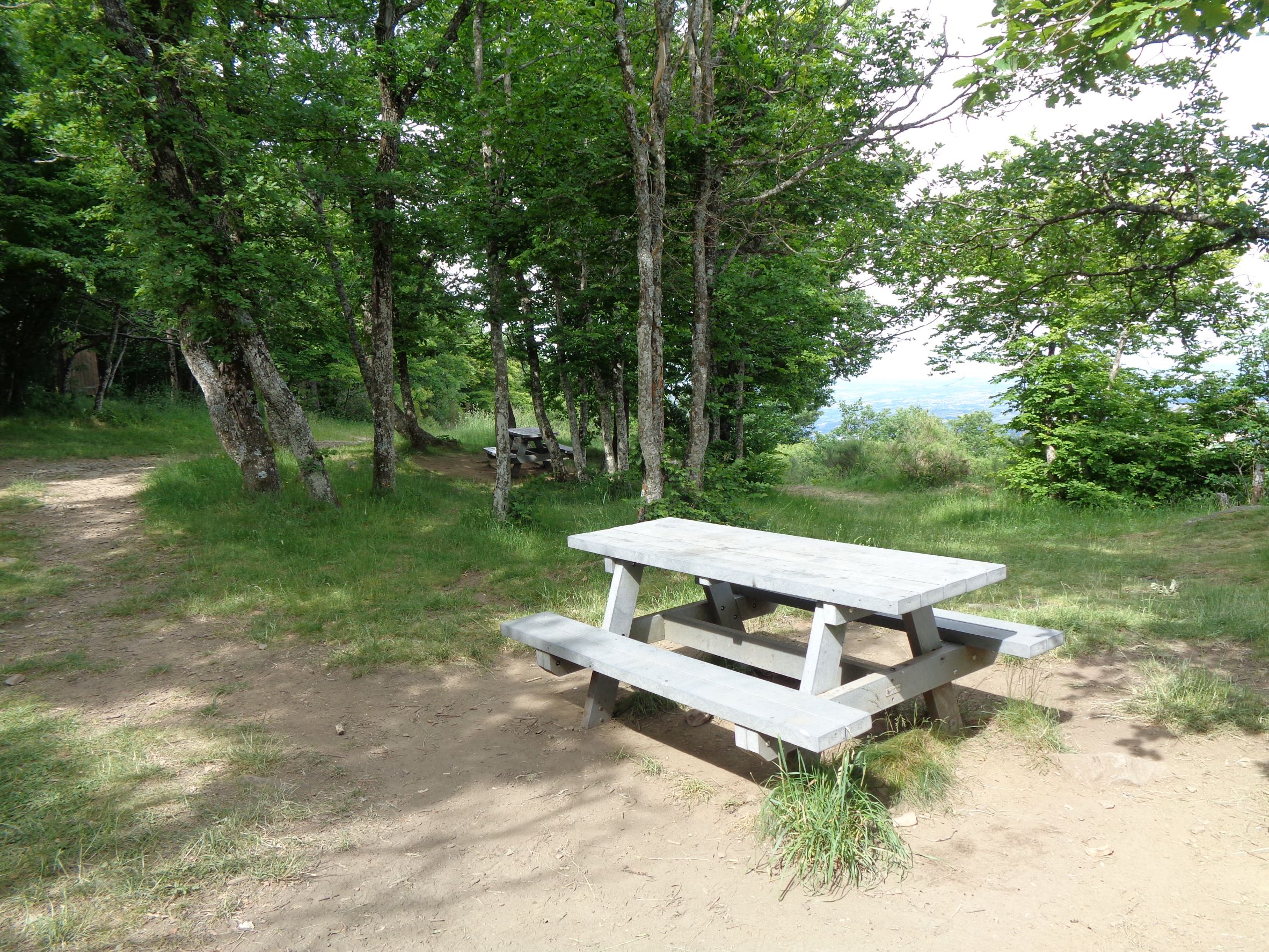 Table de pique-nique
