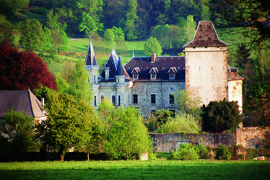 Château de Montfleury - Avressieux