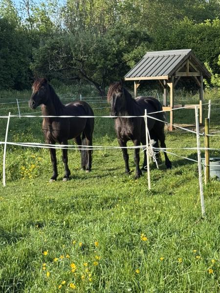 Chambres d'hôtes de la Ferme de Jonan_Saint-Honoré