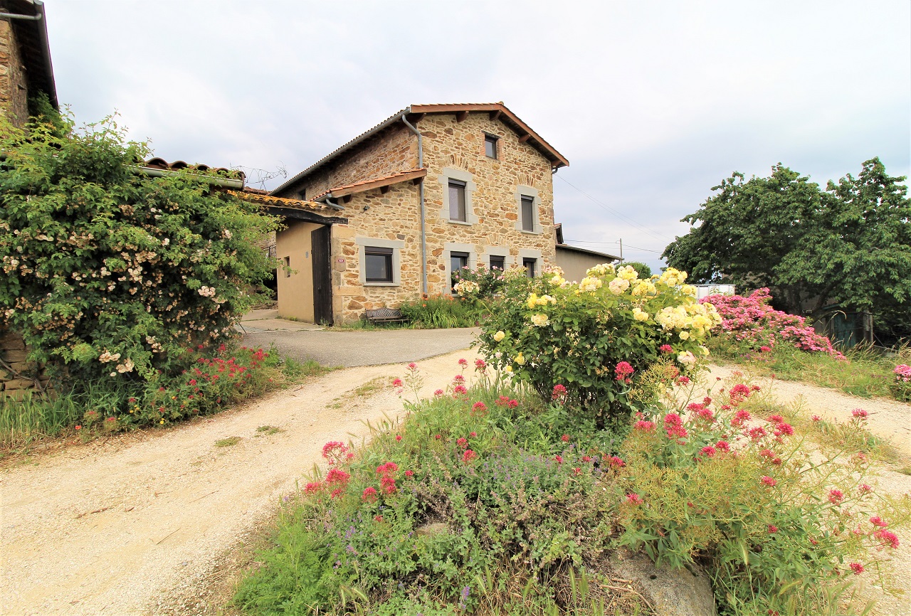 Gîte des Pampilles - Les Haies (Rhône, Pilat, proximité de Vienne et Condrieu) : la maison fleurie au printemps.
