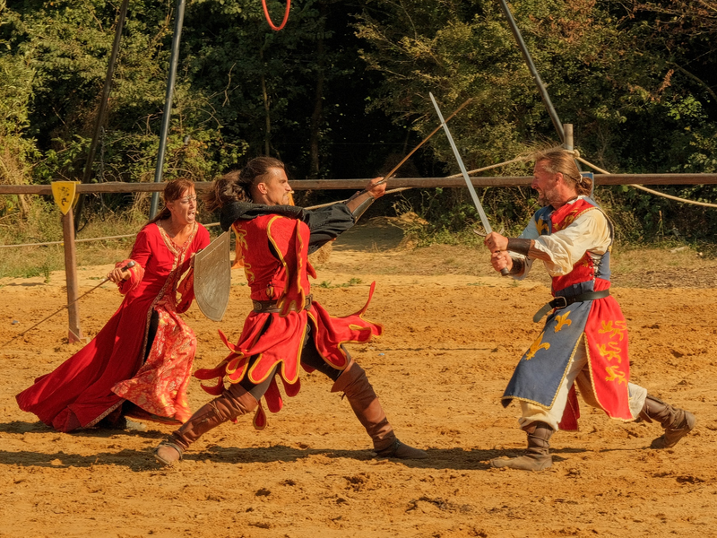 Chevaliers combattant à lépée