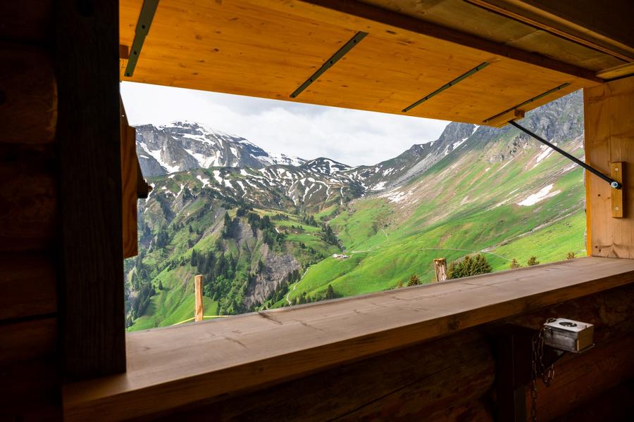 Observatoire de la Faune