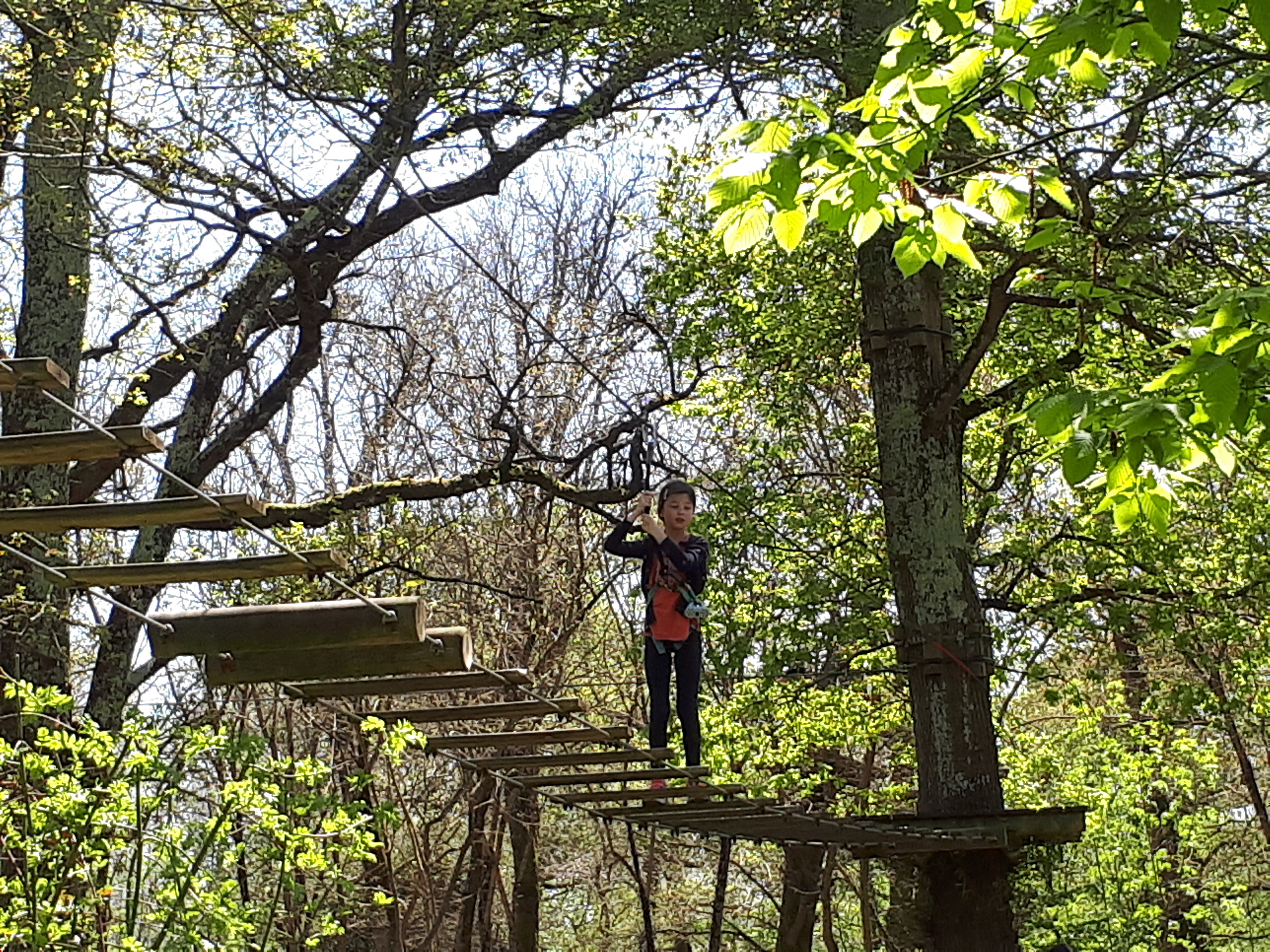Parc Aventure La Gataudière