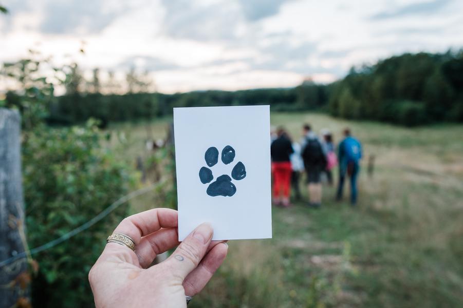 Animation nature sur les ENS : traces et indices de la faune sauvage_Montcarra-Balcons du Dauphiné