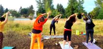 Yoga Vinyasa