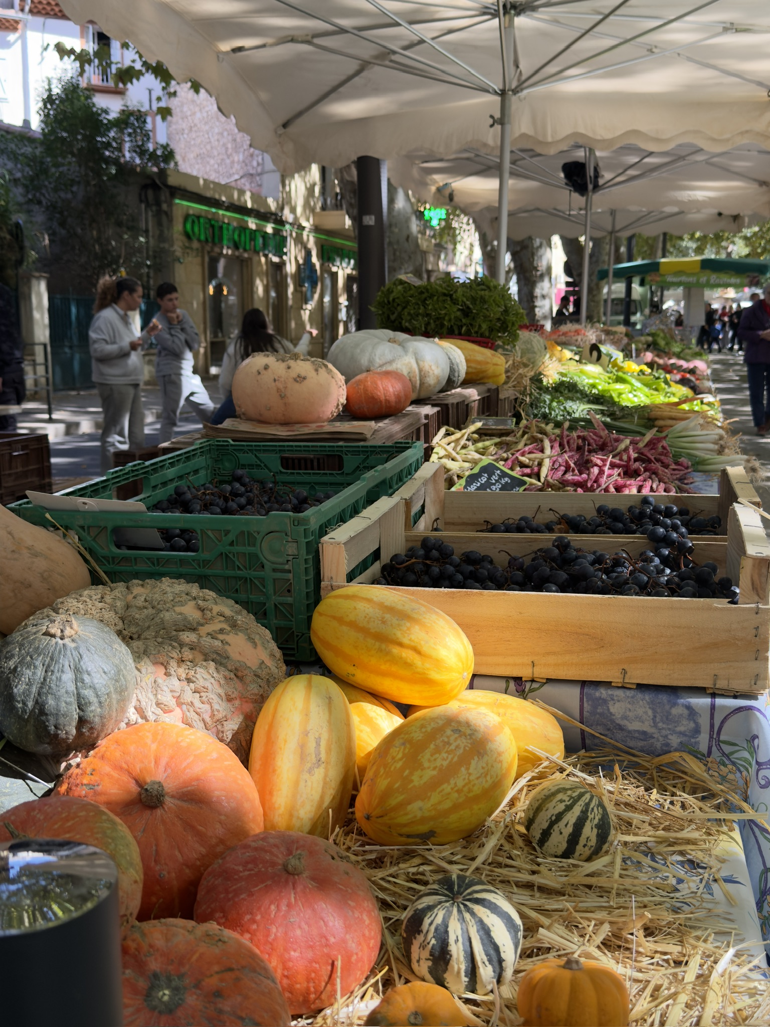Foire agricole de la Saint-Michel