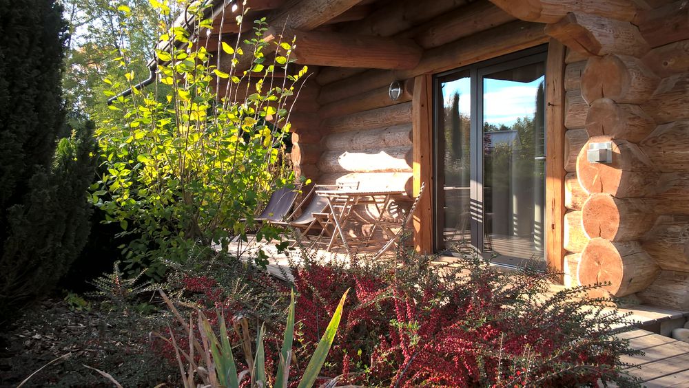 Chalet en rondin de bois