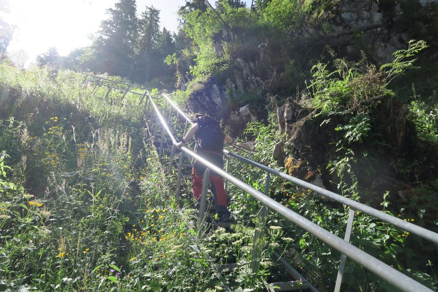 Randonnée à pied à la Pointe de Tréchauffé_La Forclaz