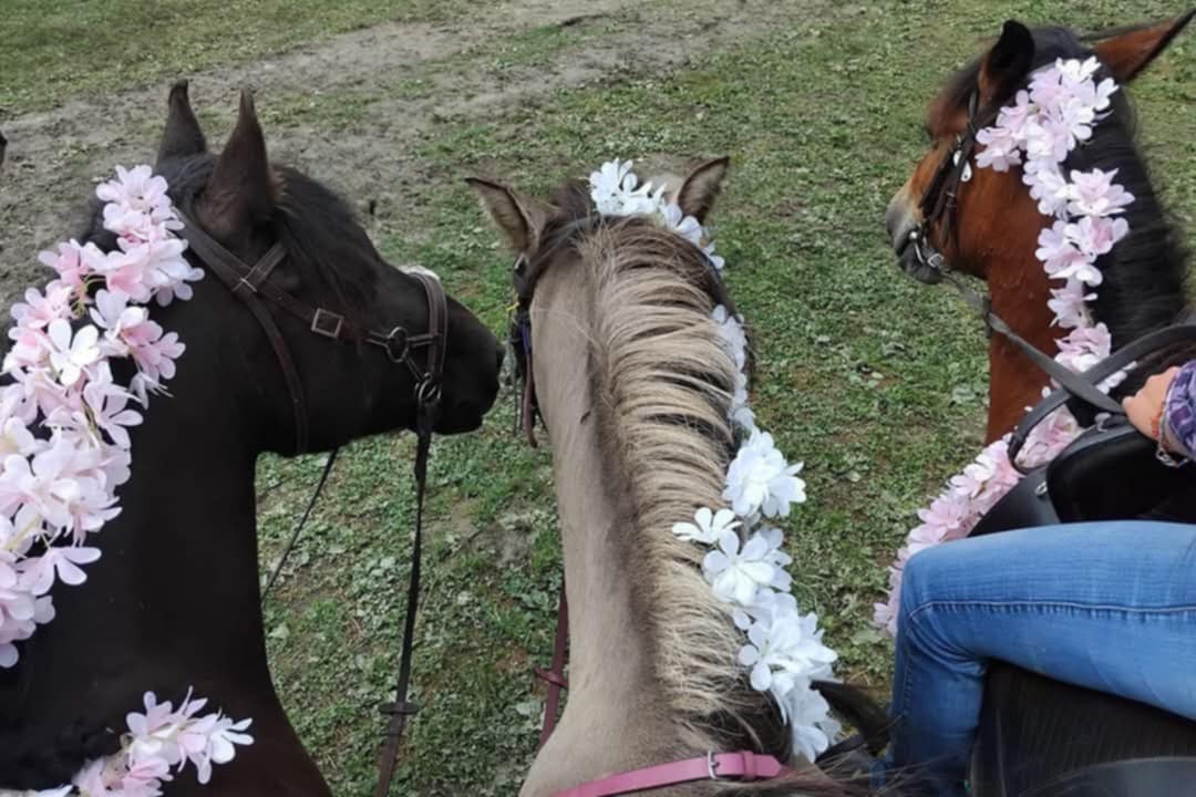Balade à poney
