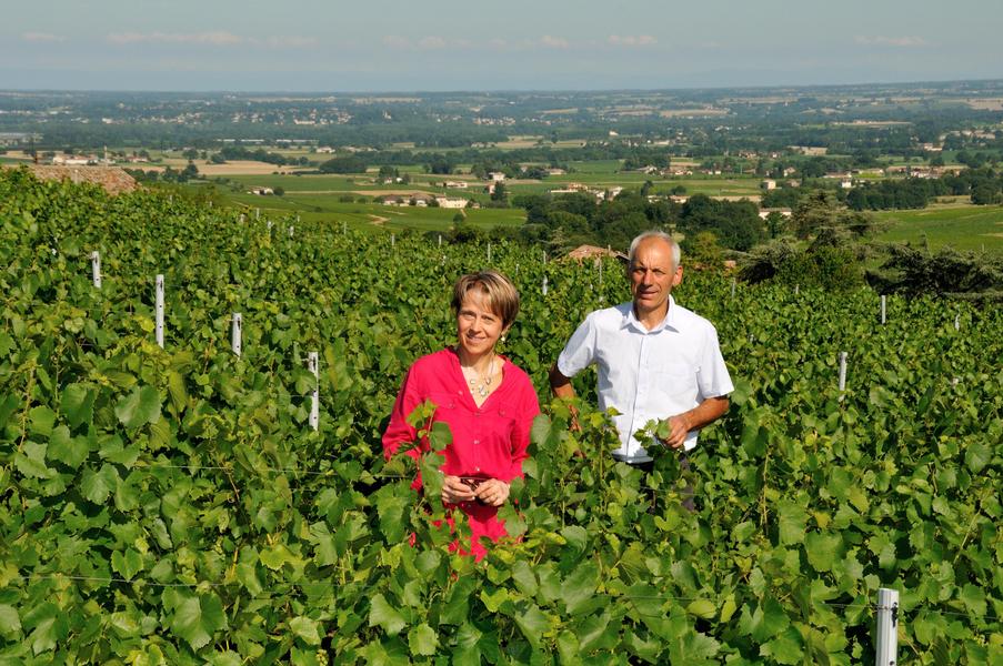 Domaine des Roches Bleues