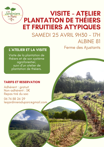 Atelier-visite : plantation de théiers et de fruits atypiques