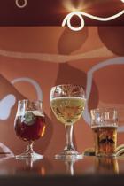 bière expérience dégustation