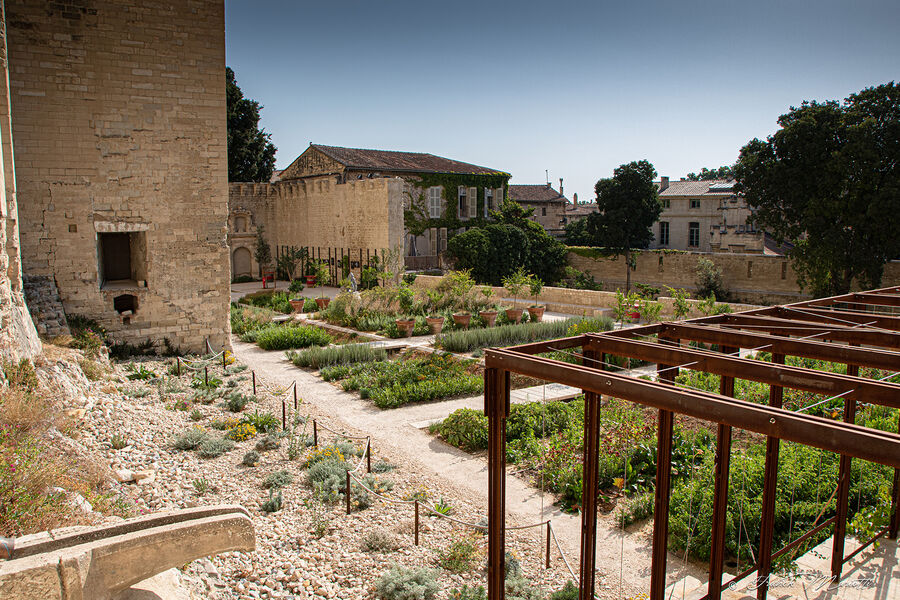 Jardins du Palais des Papes
