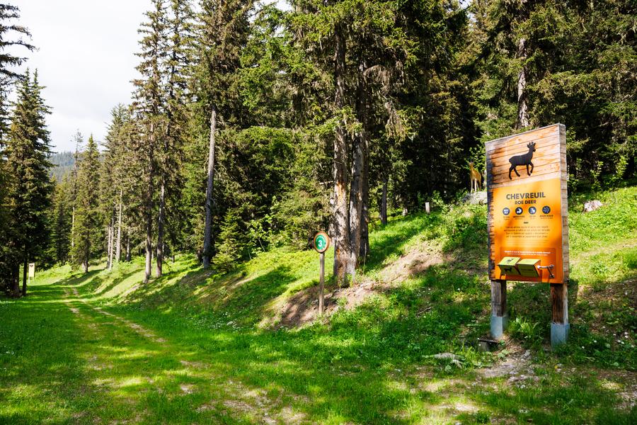 B14 - Les alpages de l'Altiport_Méribel