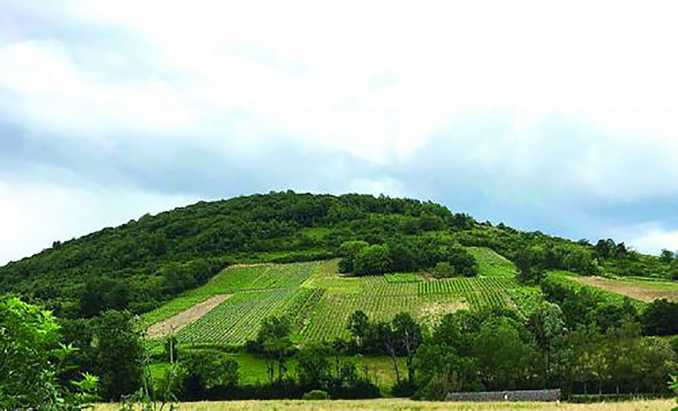 Circuit des Côteaux du Revermont
