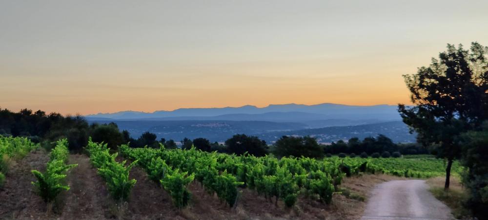 Domaine du Deffends_Saint-Maximin-la-Sainte-Baume
