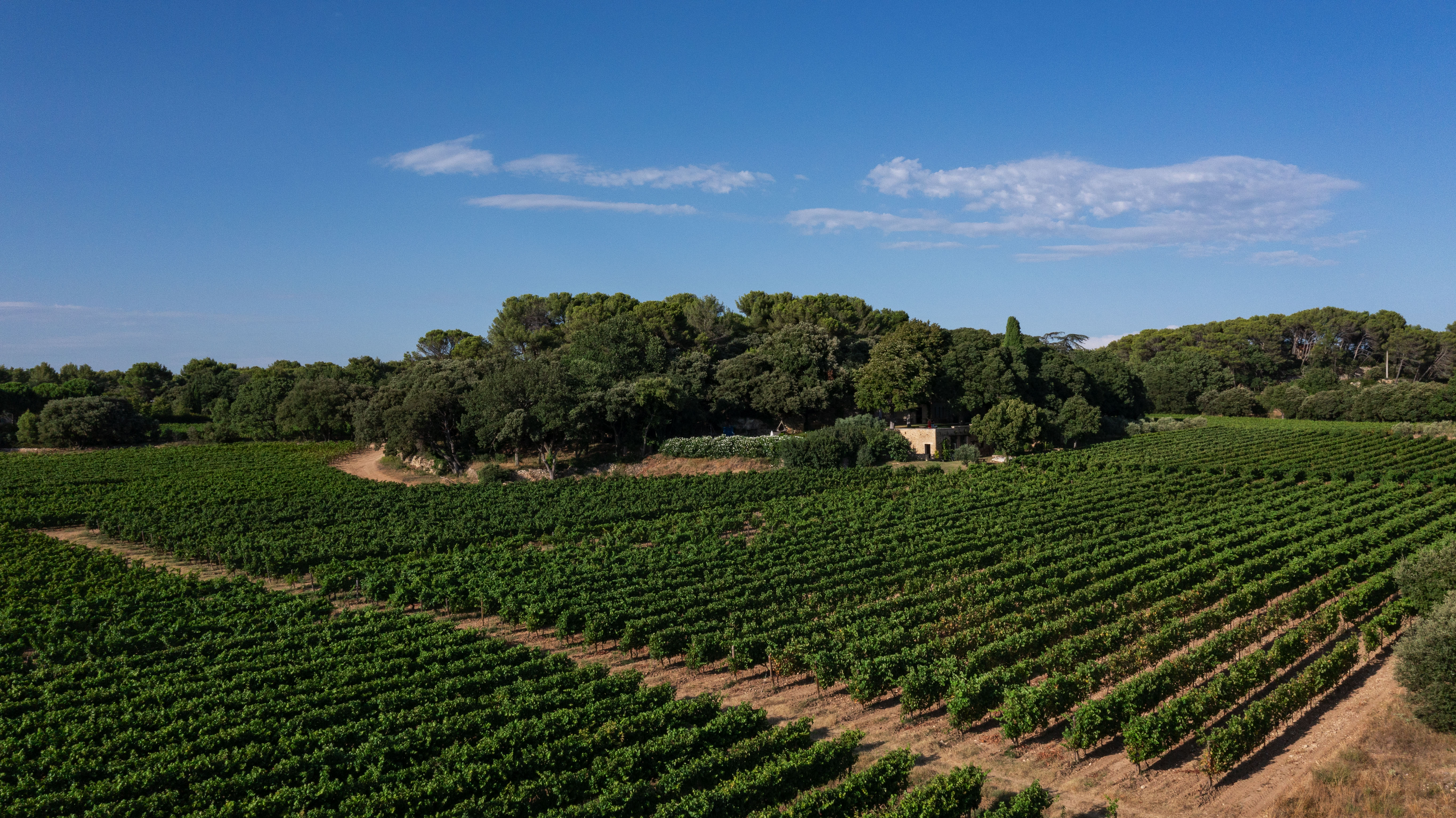 Domaine - Château Bonisson, Rognes - photo 7
