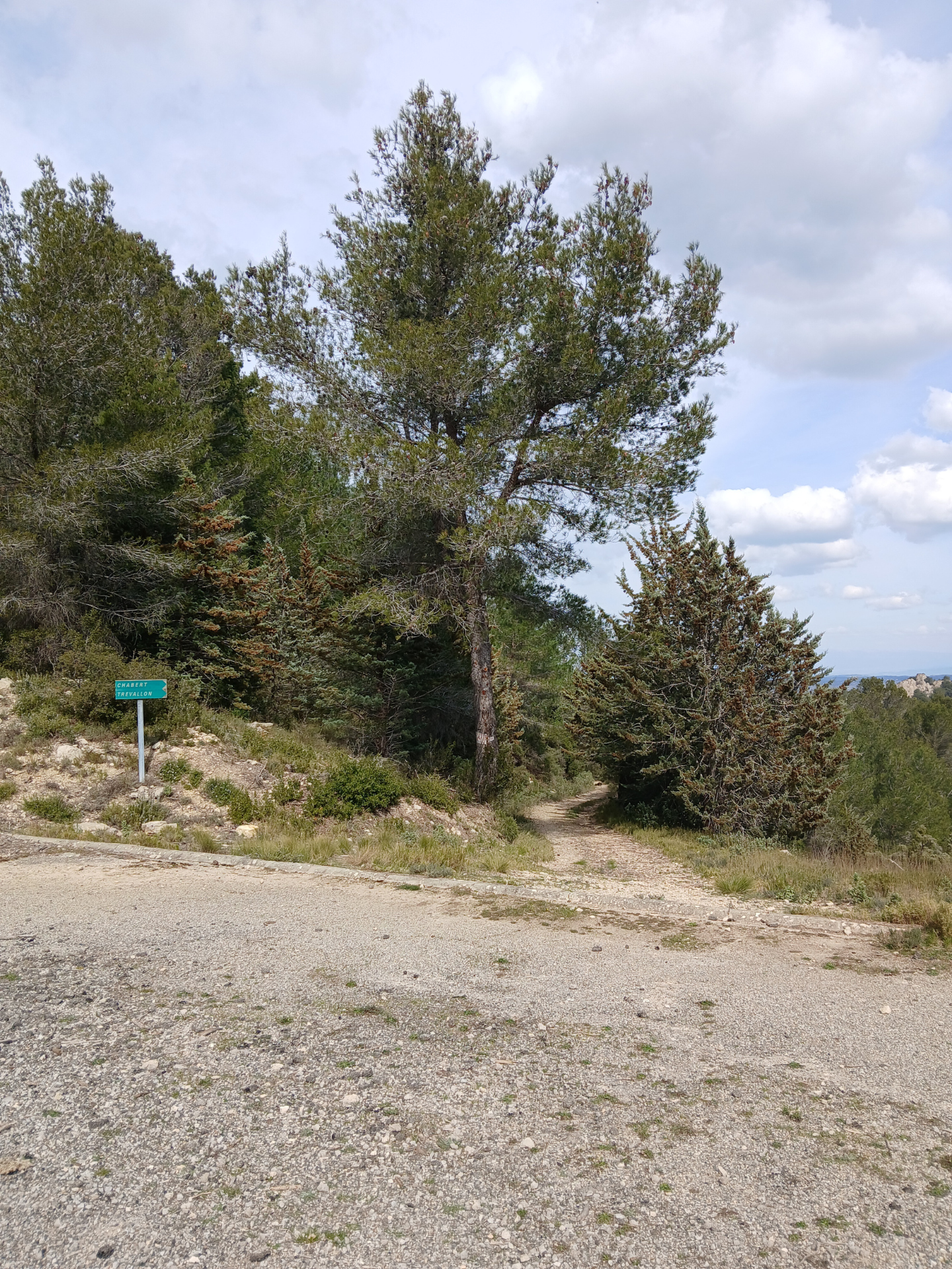 La Lèque, Saint-Rémy-de-Provence - photo 5